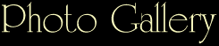 pic2.gif (2623 bytes)